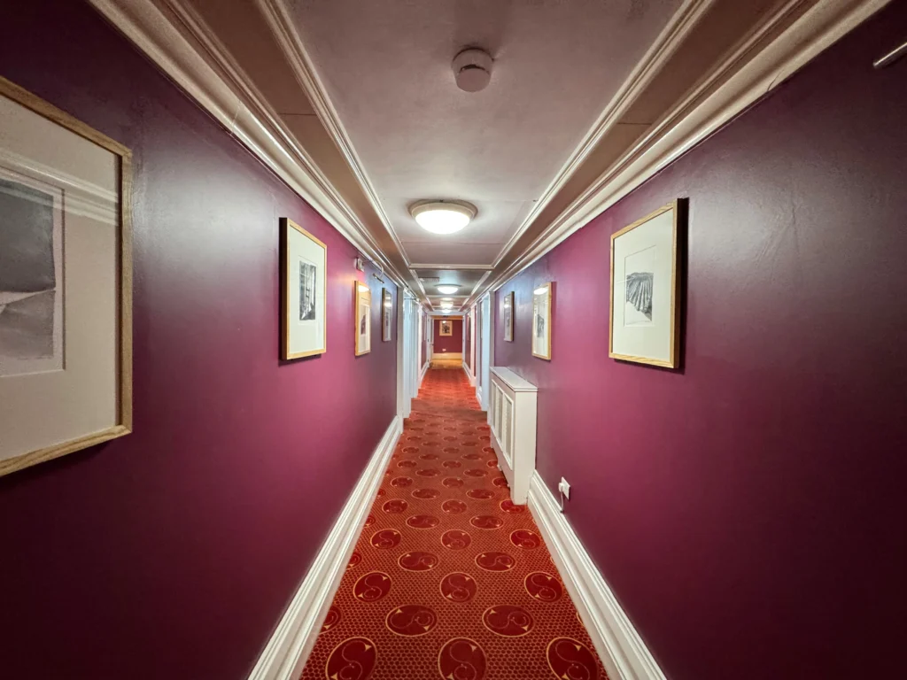 debra fisher J NJ zYiU unsplash