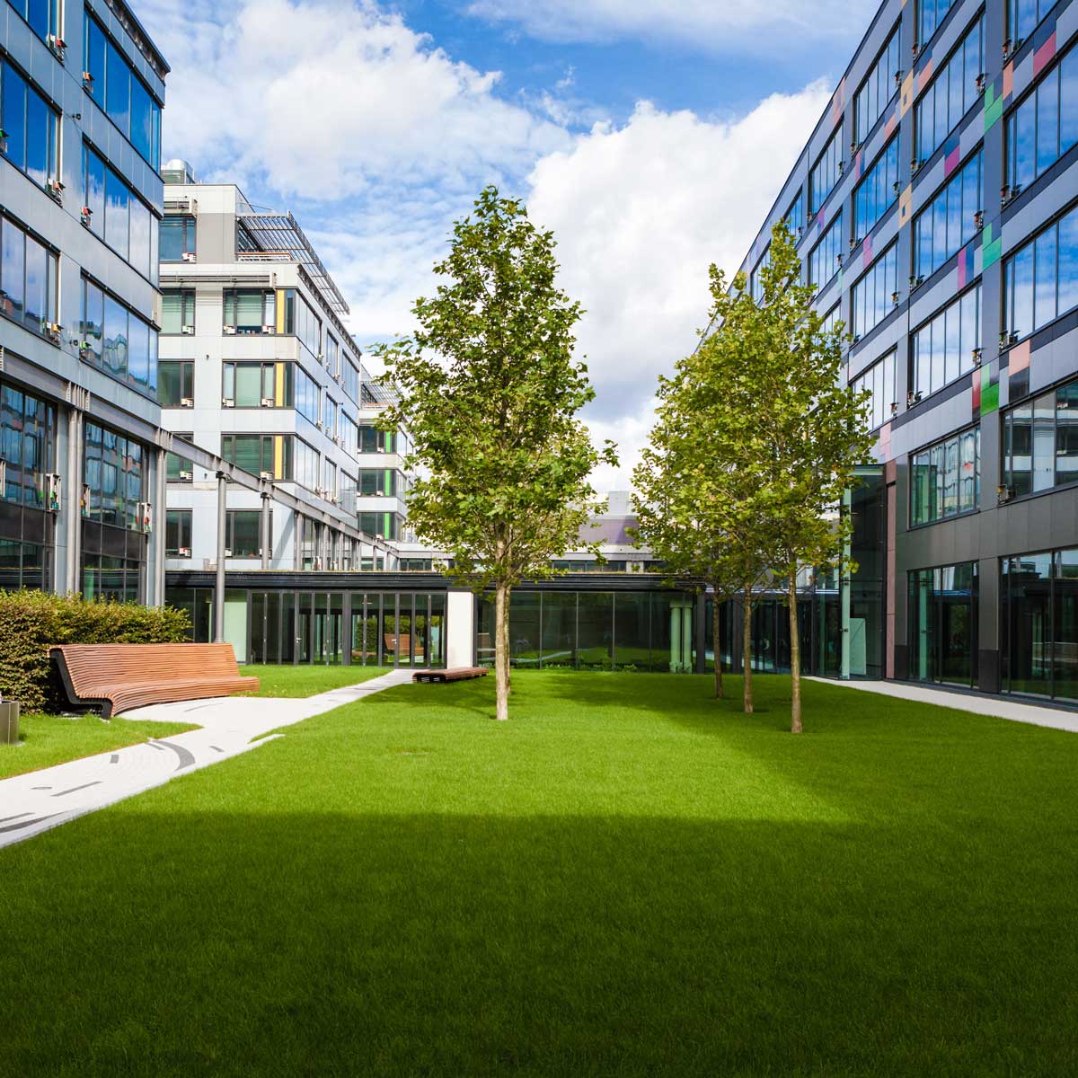 Commercial Landscaping Grass