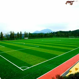Sports Artificial Grass