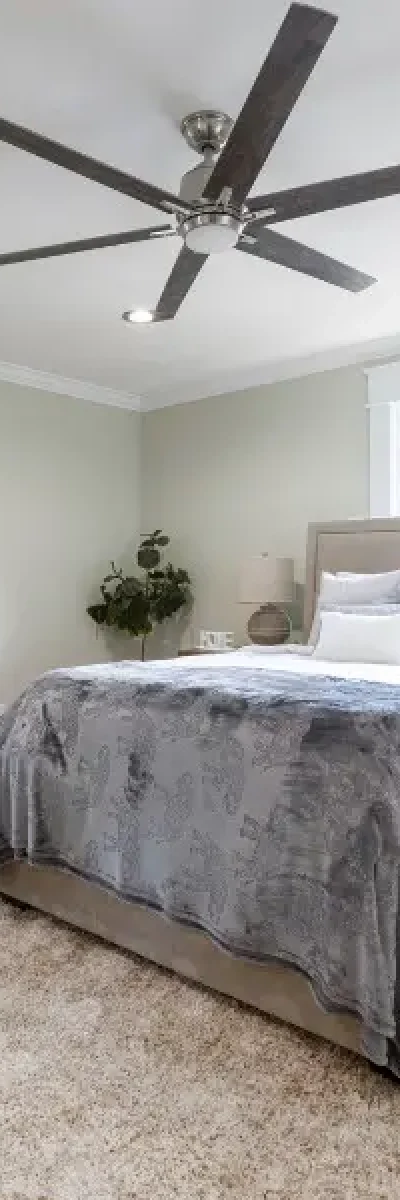 Carpets