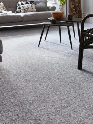 Shop Wall to Wal Carpet